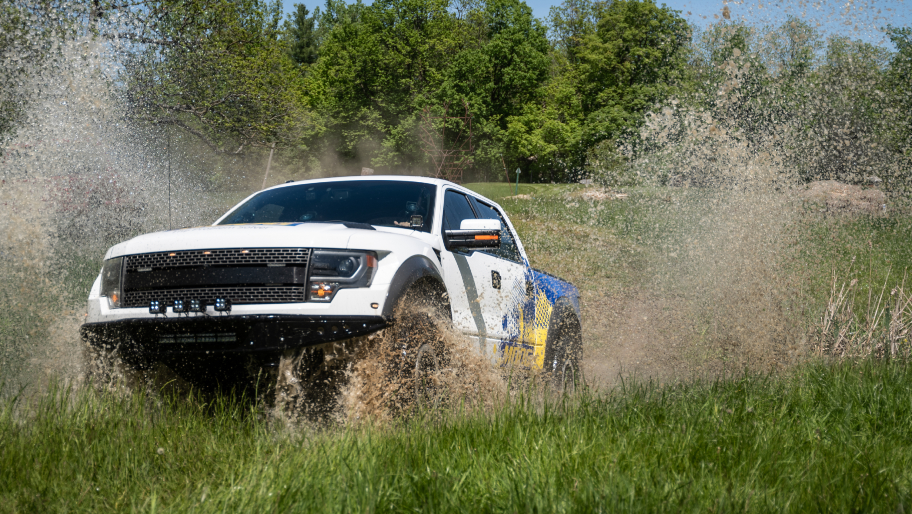 Push 22 Moog Case Study