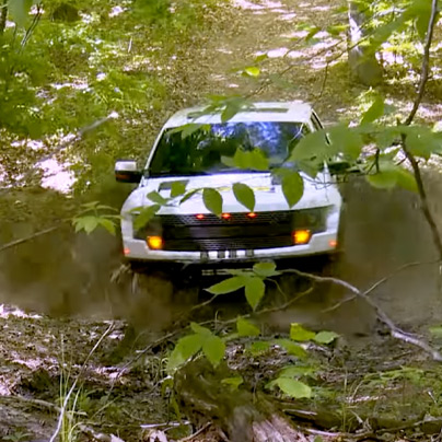 Push 22 Moog Case Study